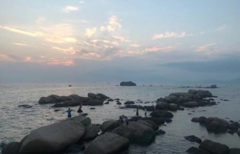 旺财28：新的经营模式应当立足在商业模式之上
